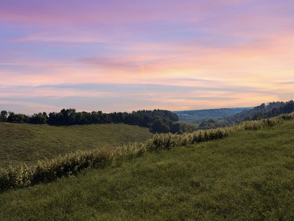 692 Anderson Rd, Shelbyville, TN 37160