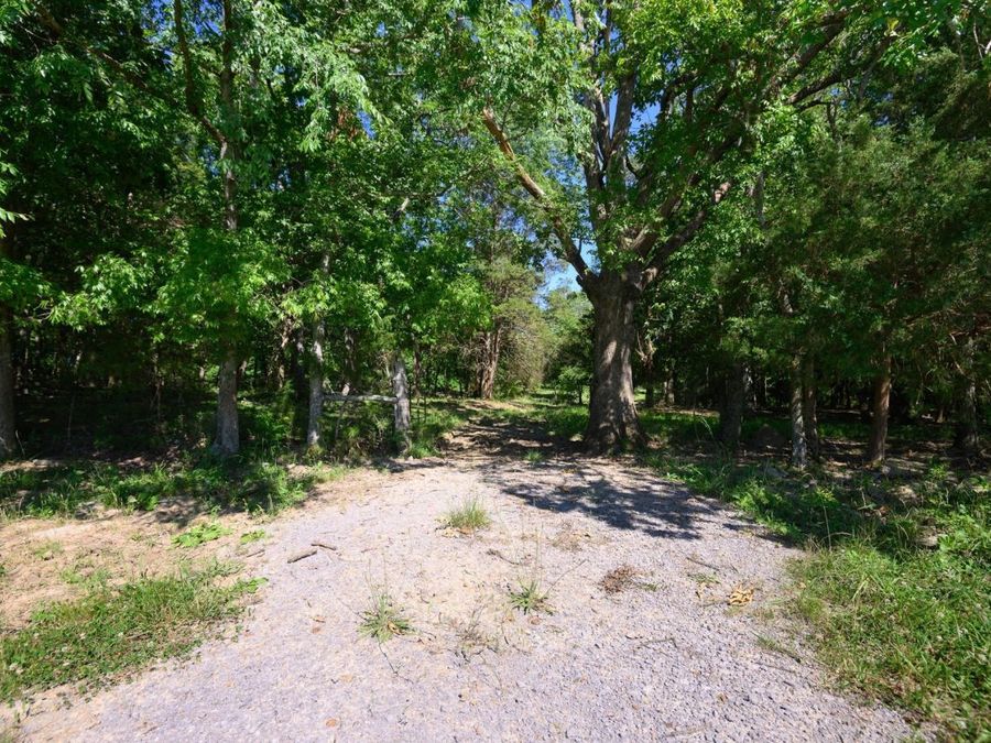 Property Image 46