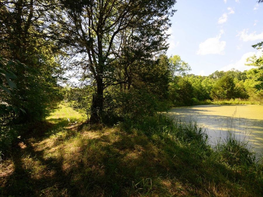 Property Image 47