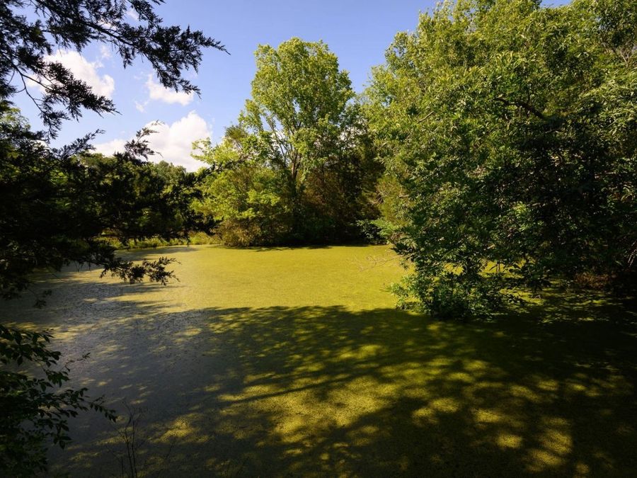 Property Image 48