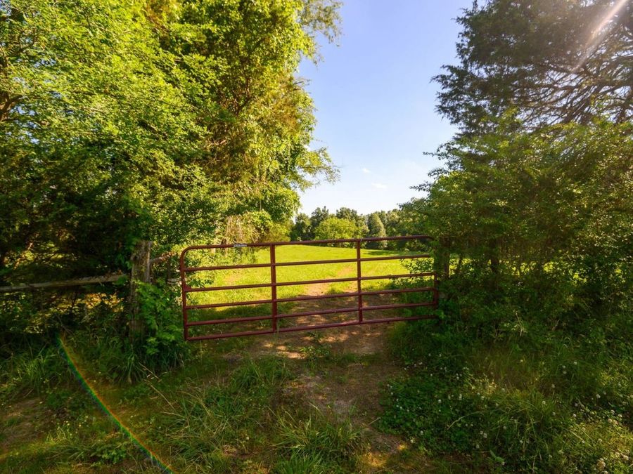 Property Image 54