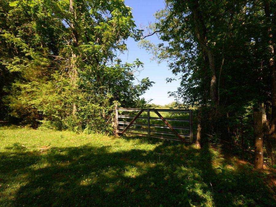 Property Image 60