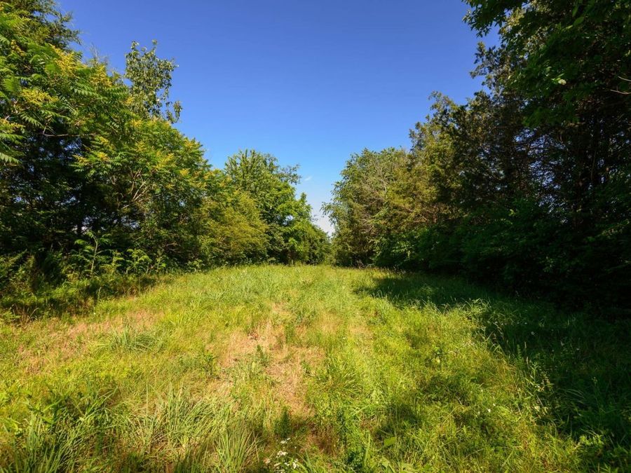 Property Image 61