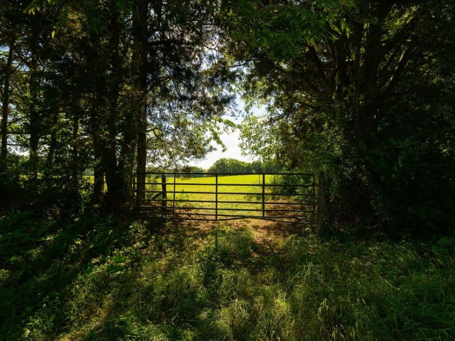 Property Image 66