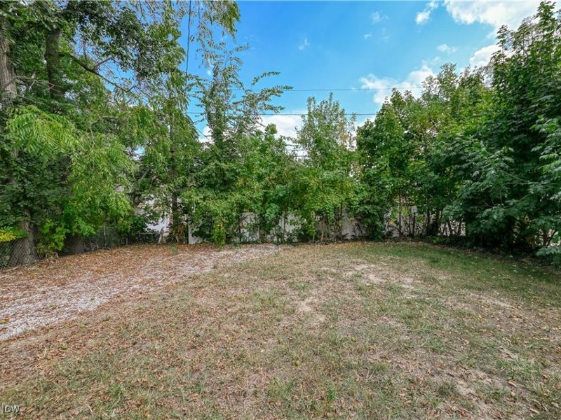 687 Moreley Avenue, Akron, OH 44320 Photo 36