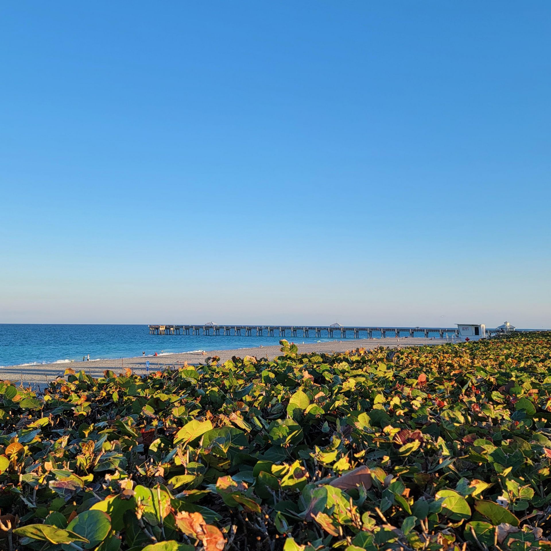 825 Center Street, Unit 14a, Jupiter, FL 33458 Photo