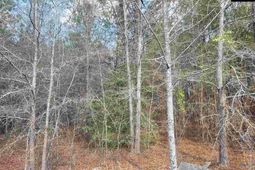 239 House Road  photo 4