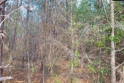 239 House Road  photo 4