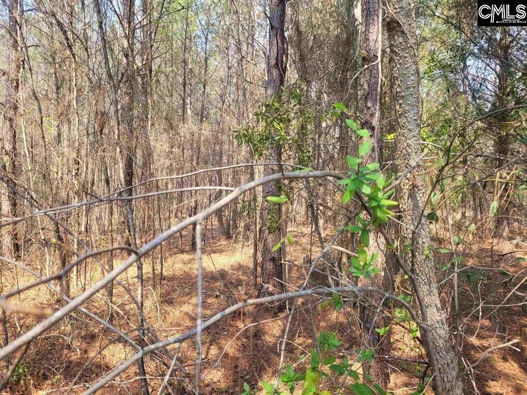 239 House Road  Photo 4