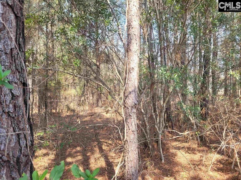 239 House Road  Photo 5