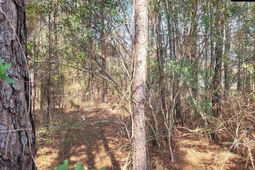 239 House Road  photo 4