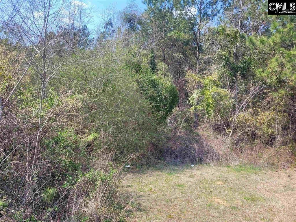 239 House Road  Photo 6