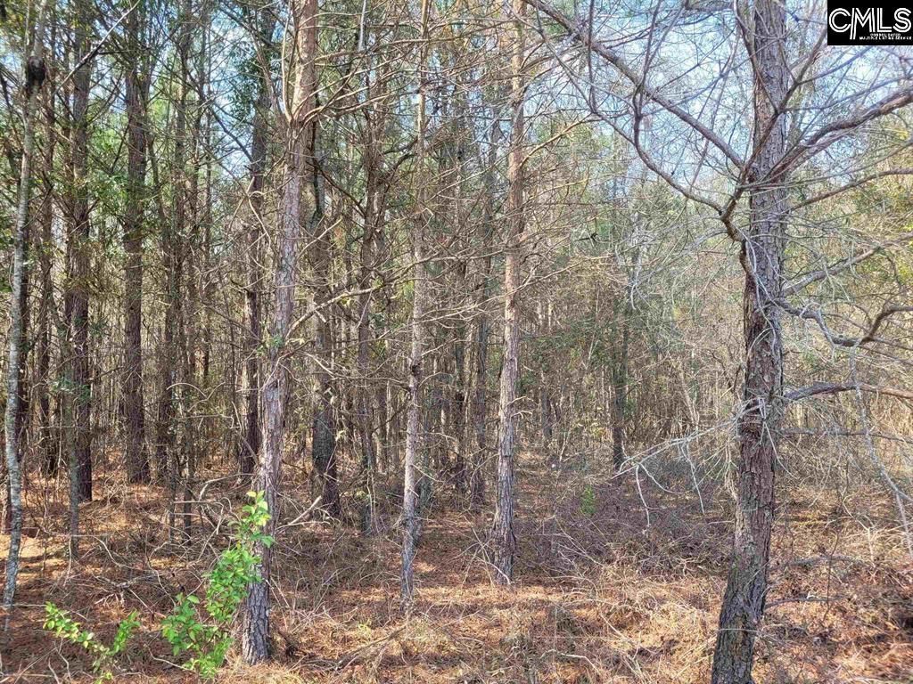 239 House Road  Photo 7