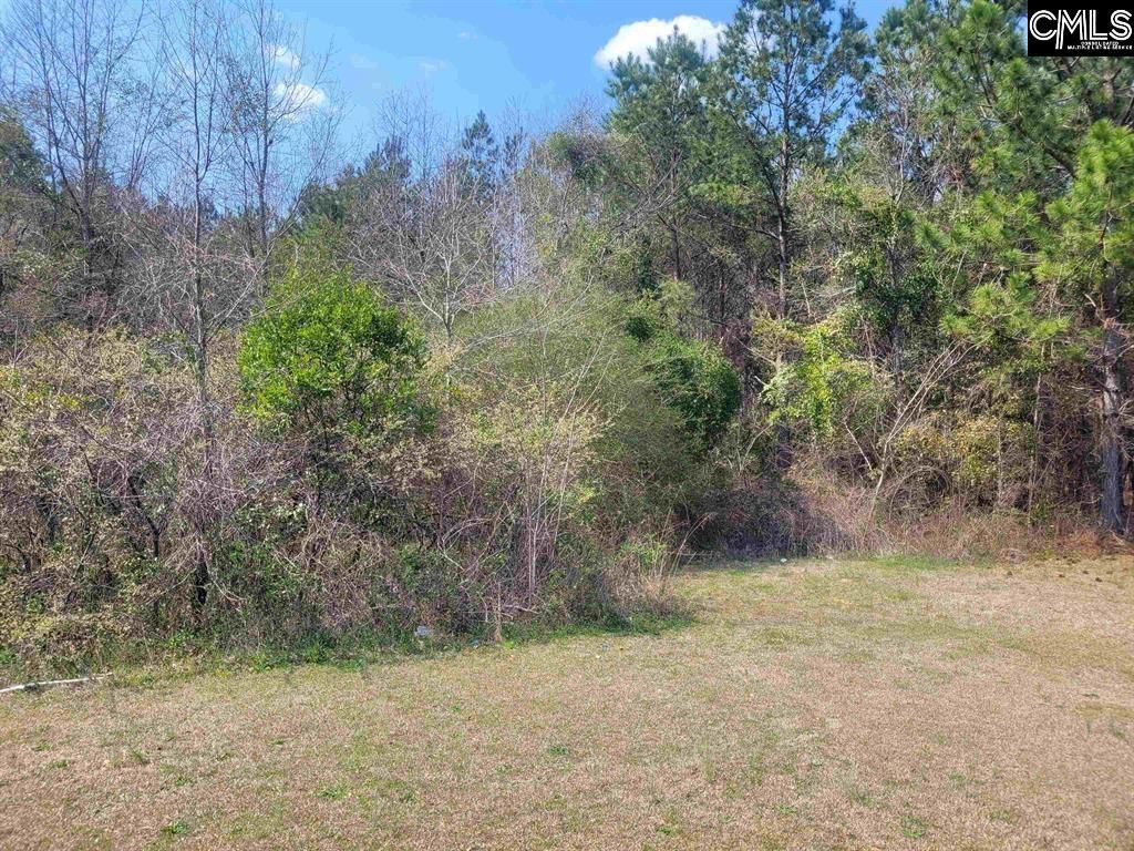 239 House Road  Photo 9