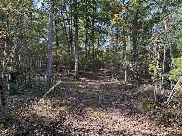 240 Kaw Ct, Annapolis, MO 63620