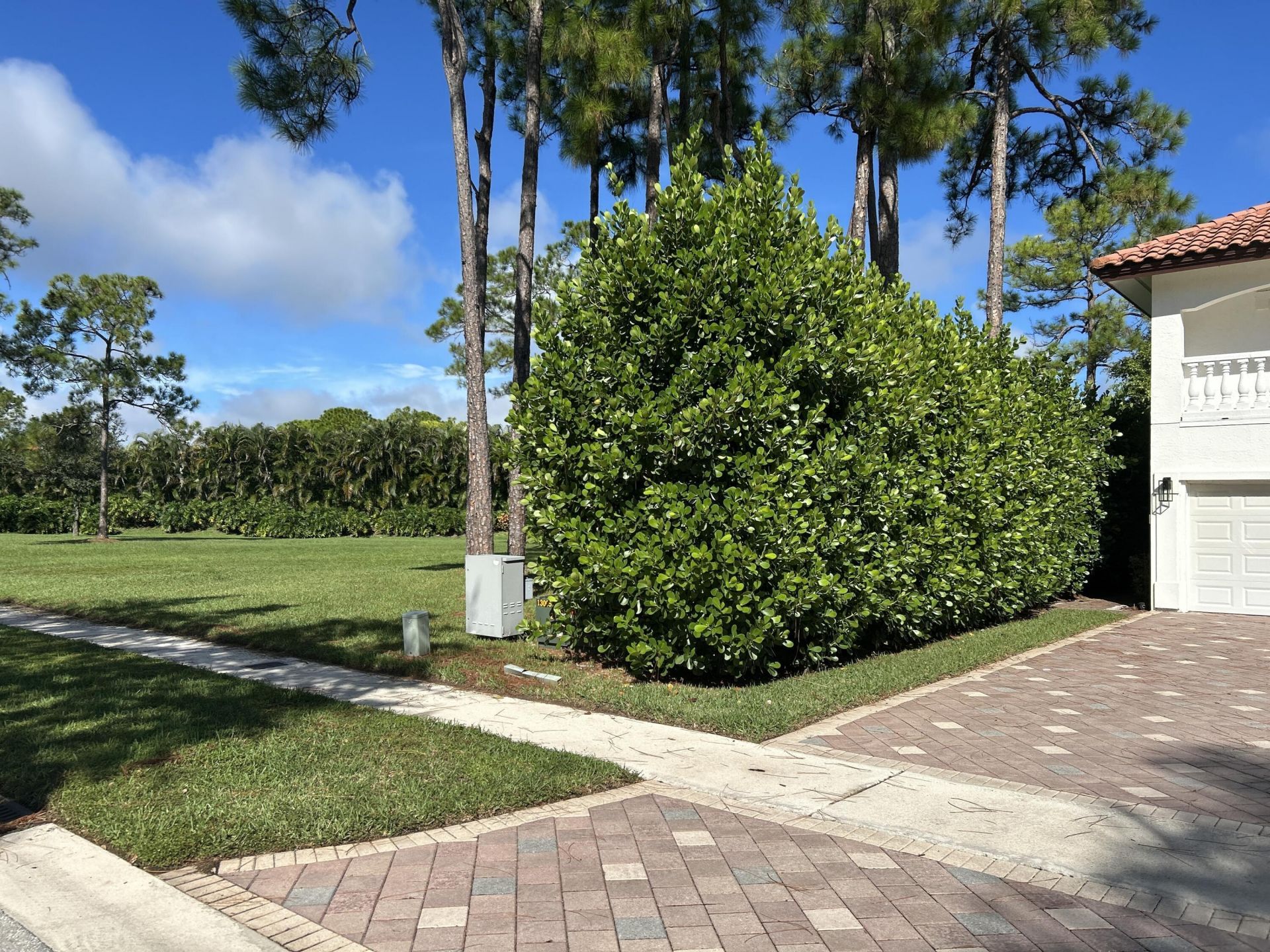 6123 Wildcat Run, West Palm Beach, FL 33412 Photo