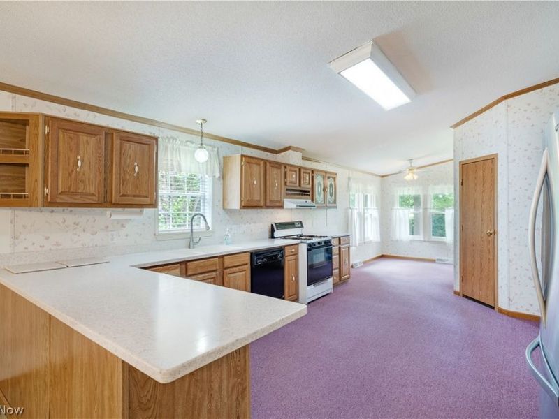 209 Wyngate Drive, Brookfield Township, OH 44403 Photo 16