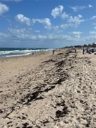 1 Harbourside Dr, Unit 1501, Delray Beach, FL 33483 Photo