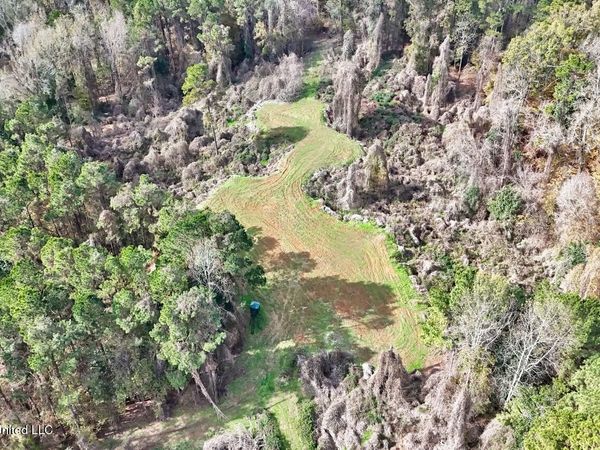 8145 Gordon Station Road, Port Gibson, MS 39150