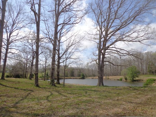 1551 Tennessee Ridge Road, Waverly, TN 37185