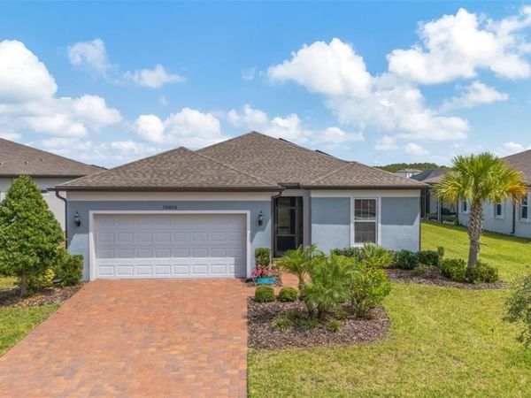 19494 SEA GLASS CIRCLE, LAND O LAKES, FL 34638