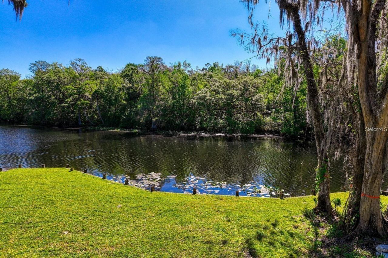 7810 Terrace Oaks Court, Temple Terrace, FL 33617 Photo