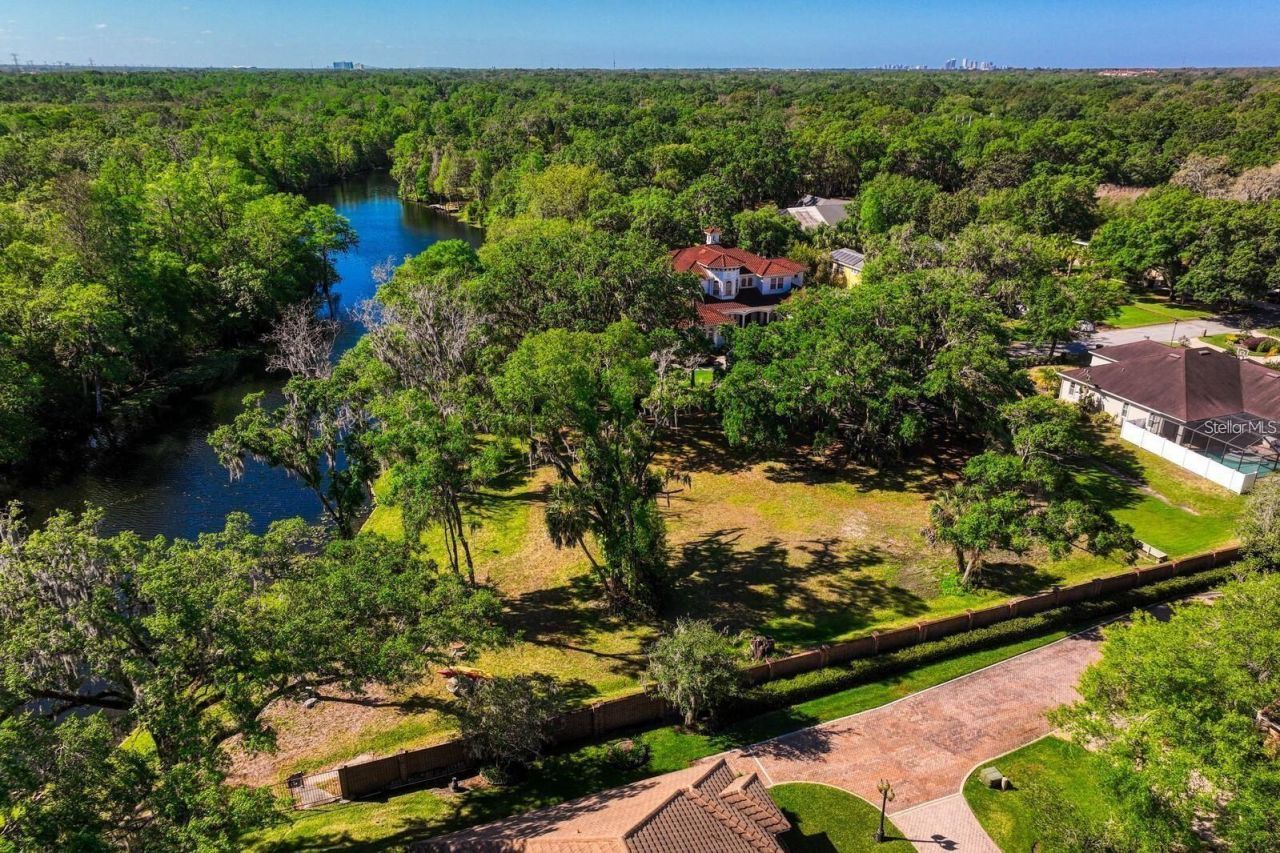 7810 Terrace Oaks Court, Temple Terrace, FL 33617 Photo