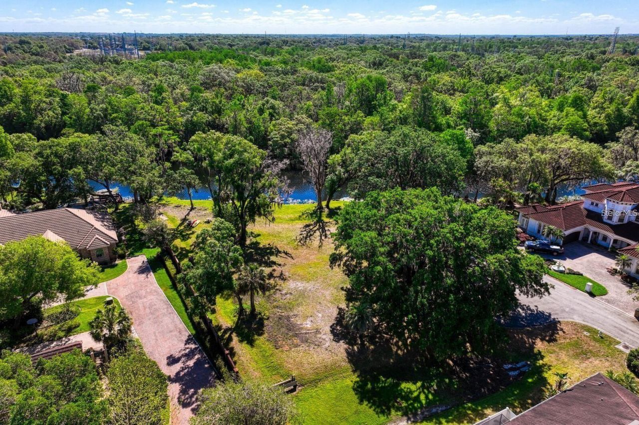 7810 Terrace Oaks Court, Temple Terrace, FL 33617 Photo