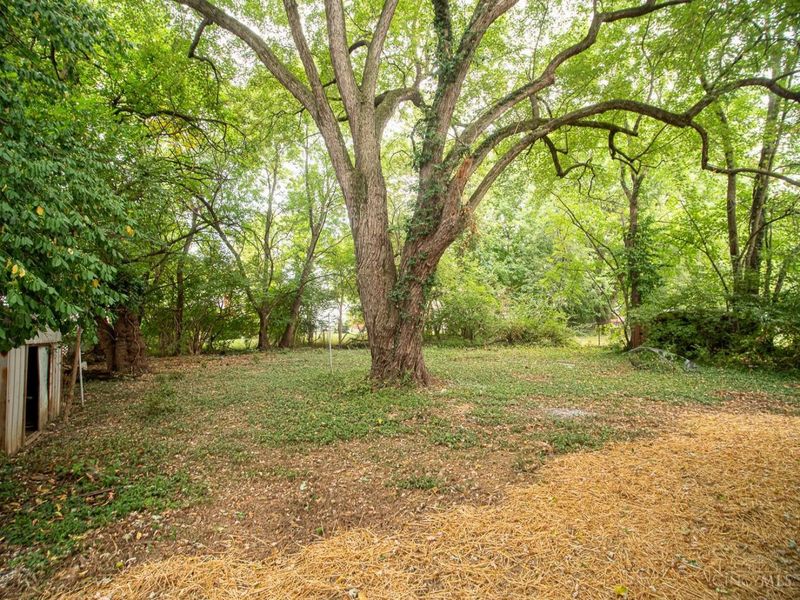 6025 Mayflower Avenue, Golf Manor, OH 45237 Photo 22