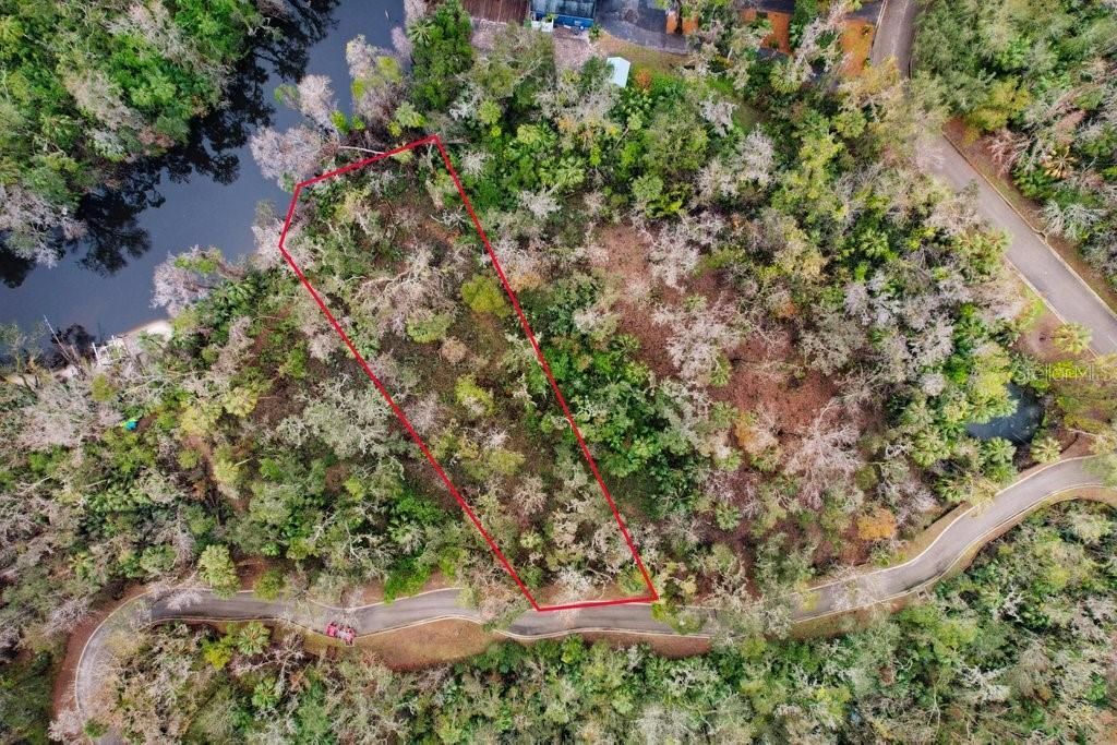 4872 Rambling River Road, Brandon, FL 33511 Photo