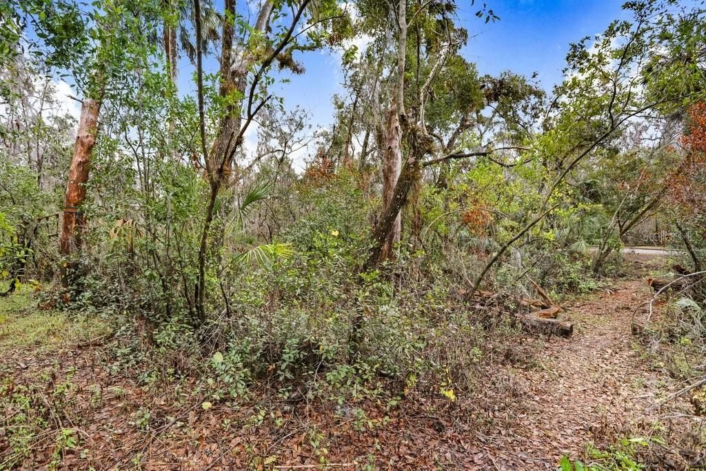 4872 Rambling River Road, Brandon, FL 33511 Photo