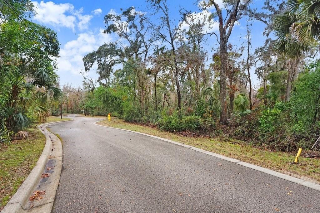4872 Rambling River Road, Brandon, FL 33511 Photo