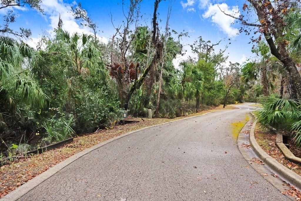 4872 Rambling River Road, Brandon, FL 33511 Photo