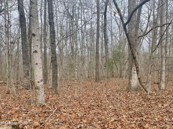 33 Leeds Terrace, Unit 13, Crossville, TN 38558
