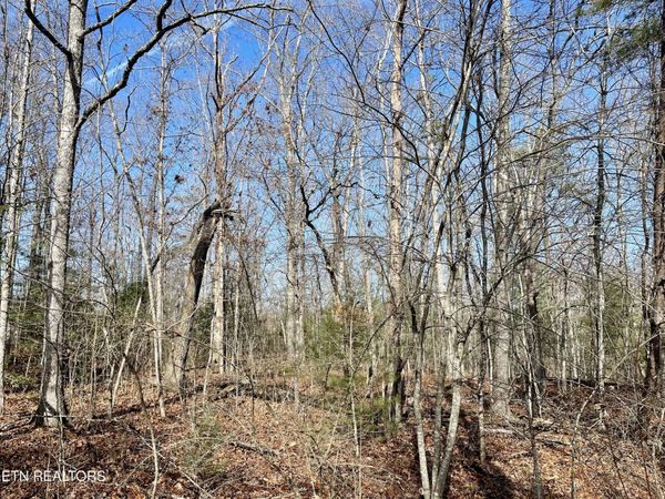 44 Rusham Circle, Unit 32, Crossville, TN 38558