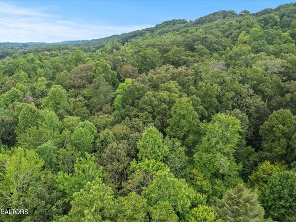 3617 Betty Lane, Knoxville, TN 37931