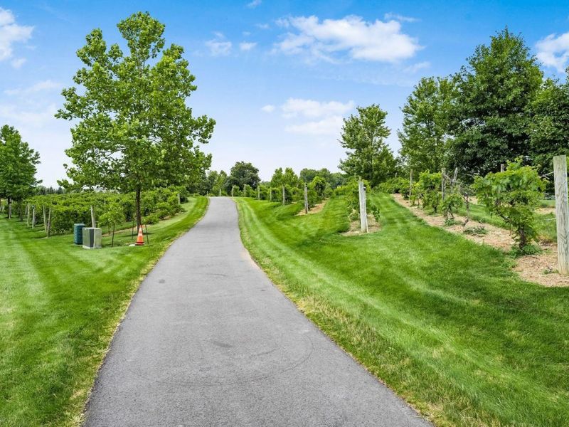 8886 Winemack Lane, Dublin, OH 43016 Photo 61