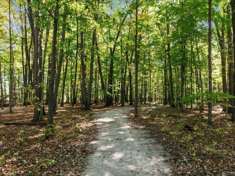 8886 Winemack Lane, Dublin, OH 43016 Photo 71