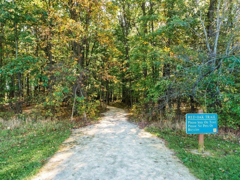 8886 Winemack Lane, Dublin, OH 43016 Photo 72