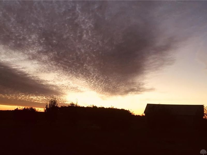 978 State Route 72, Ross Township, OH 45314 Photo 80