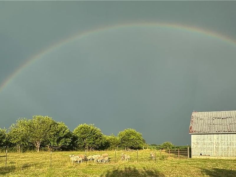 978 State Route 72, Ross Township, OH 45314 Photo 83