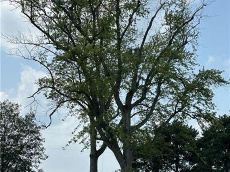 978 State Route 72, Ross Township, OH 45314 Photo 84