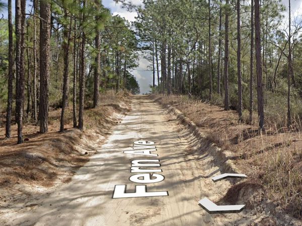 00 FERN Avenue, Interlachen, FL 32148