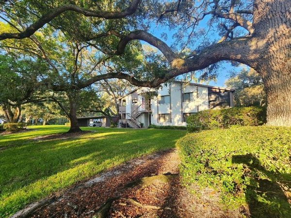 603 BALDWIN AVENUE, Unit B, SAFETY HARBOR, FL 34695