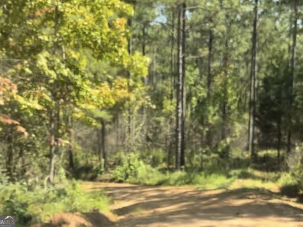 0 County Road 831, Unit TRACT #1, Wadley, AL 36276