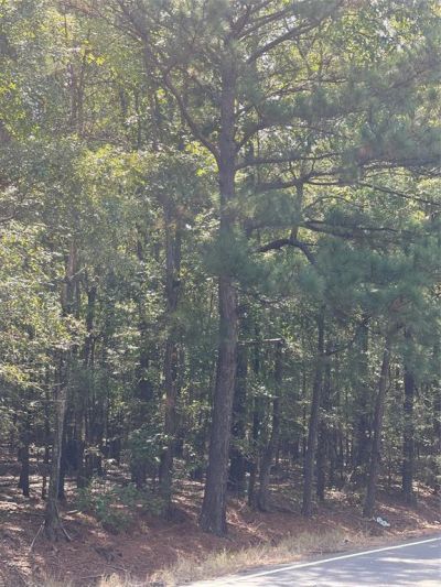 0 Ferry Lake Tract C, Oil City, LA 71061 Main Photo