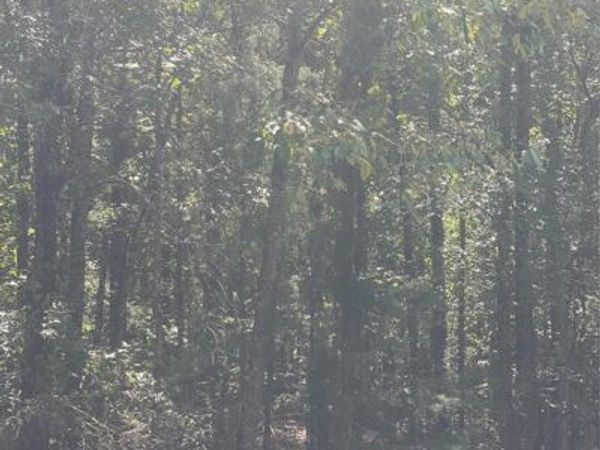 0 Ferry Lake Tract E, Oil City, LA 71061