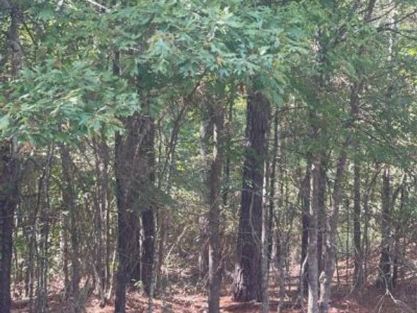 0 Ferry Lake Tract B, Oil City, LA 71061