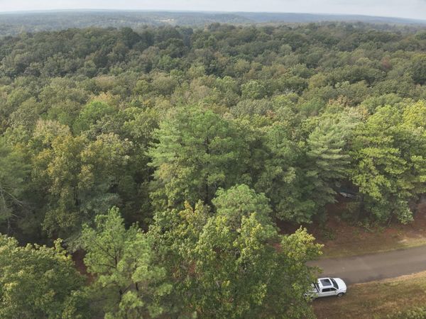 62 Hardison Ln, Linden, TN 37096