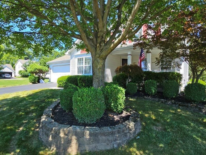 4540 Redwood Vine Drive, New Albany, OH 43054 Photo 43